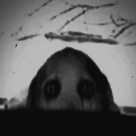 A Black And White Photo Of A Person With Glowing Eyes Looking Out Of A Hole . GIF