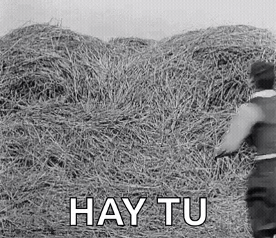 A Black And White Photo Of A Pile Of Hay With The Words `` Hay Tu '' Written On It . GIF