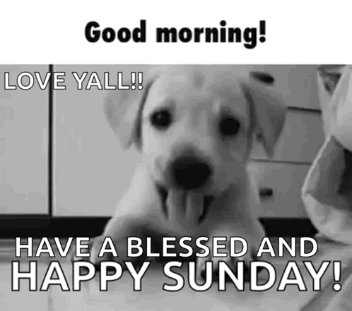 A Black And White Photo Of A Puppy With Its Tongue Hanging Out And The Words `` Good Morning ! Love Yall ! '' GIF