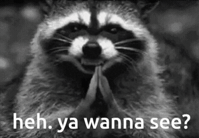 A Black And White Photo Of A Raccoon With The Words `` Heh , Ya Wanna See ? '' Written Below It . GIF