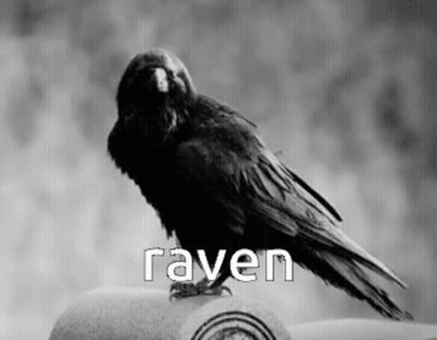 A Black And White Photo Of A Raven Sitting On A Stone Pillar GIF