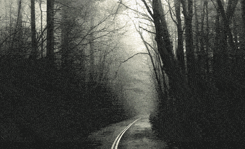 A Black And White Photo Of A Road Going Through The Woods GIF