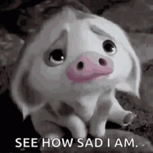 A Black And White Photo Of A Sad Pig With The Words `` See How Sad I Am '' Written On It . GIF