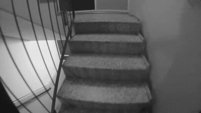 A Black And White Photo Of A Set Of Stairs With A Metal Railing GIF