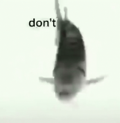 A Black And White Photo Of A Shark With The Words `` Don 'T Cry '' Written On It . GIF