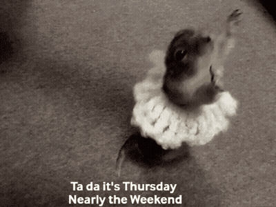 A Black And White Photo Of A Squirrel With The Words Ta Da It 'S Thursday Nearly The Weekend Above It GIF