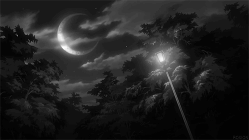 A Black And White Photo Of A Street Light With A Crescent Moon In The Sky GIF