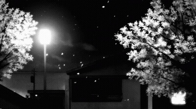 A Black And White Photo Of A Street Light With Trees In The Foreground GIF