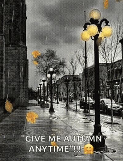 A Black And White Photo Of A Street With The Words " Give Me Autumn Anytime " Written On It GIF