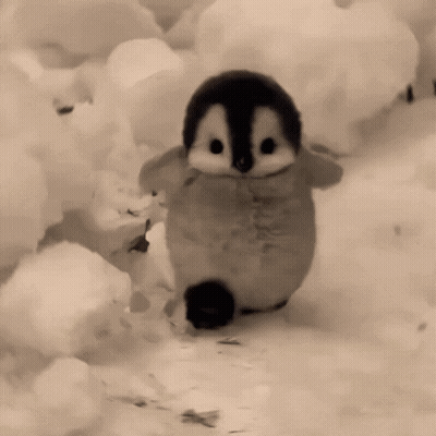 A Black And White Photo Of A Stuffed Penguin Walking In The Snow GIF