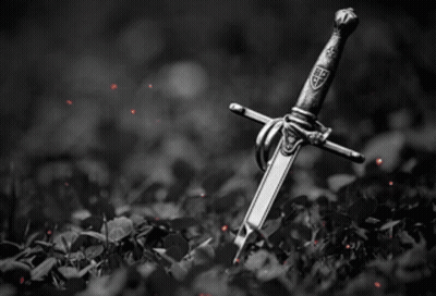 A Black And White Photo Of A Sword With A Shield On The Handle GIF