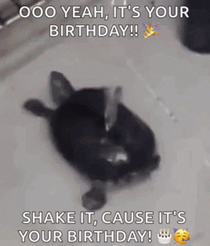 A Black And White Photo Of A Turtle With The Words `` Ooo Yeah , It 'S Your Birthday ! `` GIF