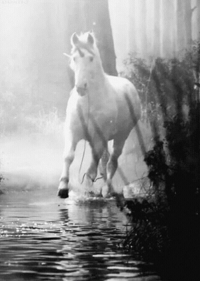 A Black And White Photo Of A Unicorn Running Through A Body Of Water GIF