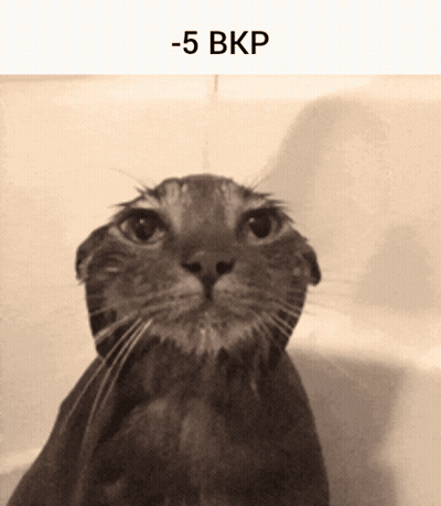 A Black And White Photo Of A Wet Cat With -5 Bkp Written Below It GIF