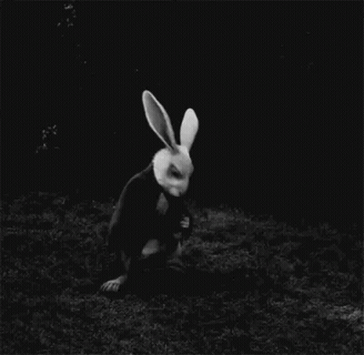 A Black And White Photo Of A White Rabbit Wearing A Mask In The Dark . GIF