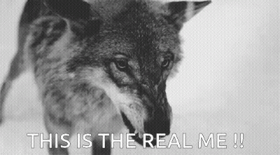 A Black And White Photo Of A Wolf With The Caption `` This Is The Real Me ! '' GIF