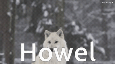 A Black And White Photo Of A Wolf With The Word Howel Written Below It GIF