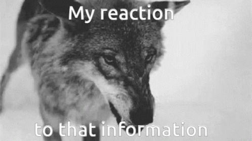 A Black And White Photo Of A Wolf With The Words `` My Reaction To That Information '' Written Above It . GIF