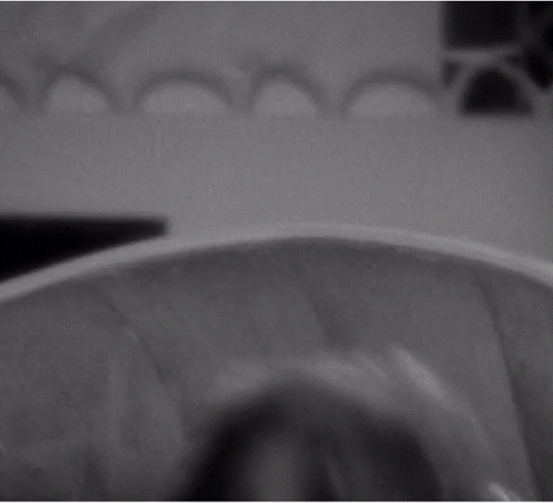 A Black And White Photo Of A Woman In A Sequined Dress GIF