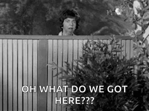 A Black And White Photo Of A Woman Peeking Over A Fence With The Words `` Oh What Do We Got Here ? '' GIF