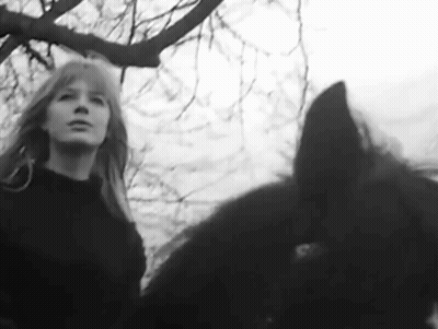 A Black And White Photo Of A Woman Standing Next To A Black Horse . GIF