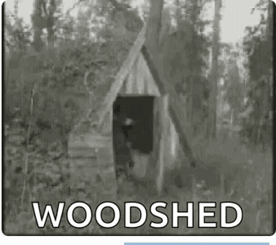A Black And White Photo Of A Woodshed In The Woods GIF