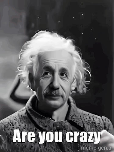 A Black And White Photo Of Albert Einstein With The Caption Are You Crazy Meme-Gen.ai GIF
