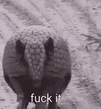 A Black And White Photo Of An Armadillo Walking In The Dirt With The Words `` Fuck It '' Written On It . GIF