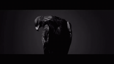 A Black And White Photo Of An Eagle With Its Wings Spread In The Dark . GIF