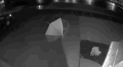 A Black And White Photo Of An Umbrella Floating On Top Of A Pool Of Water . GIF