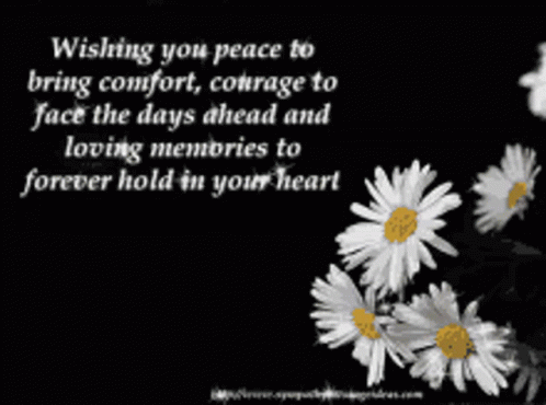 A Black And White Photo Of Daisies With A Quote GIF