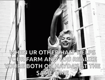 A Black And White Photo Of Marilyn Monroe Standing In A Window . GIF