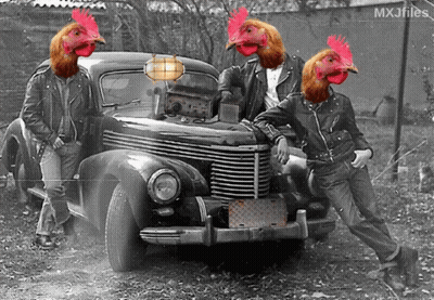 A Black And White Photo Of Three Roosters With Their Heads On A Vintage Car GIF