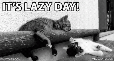 A Black And White Photo Of Two Cats Sleeping On A Wooden Bench . GIF