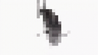 A Black And White Pixel Art Of A Dolphin On A White Background GIF