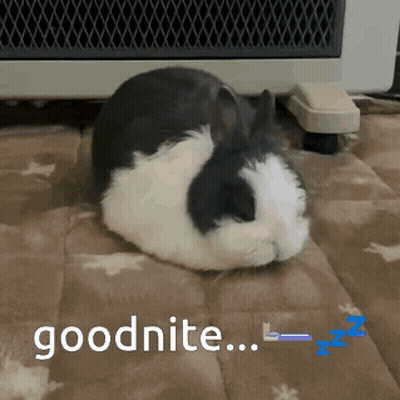 A Black And White Rabbit Is Laying On A Blanket With The Words Goodnite Written On It GIF