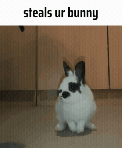 A Black And White Rabbit With The Words Steals Ur Bunny On The Bottom GIF