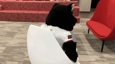 A Black And White Stuffed Animal Wearing A Shirt That Says ' Tc ' On It Sits In A Chair GIF