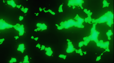 A Black Background With A Lot Of Green Spots GIF
