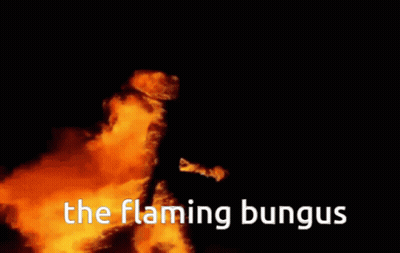 A Black Background With The Flaming Bungus Written In White GIF
