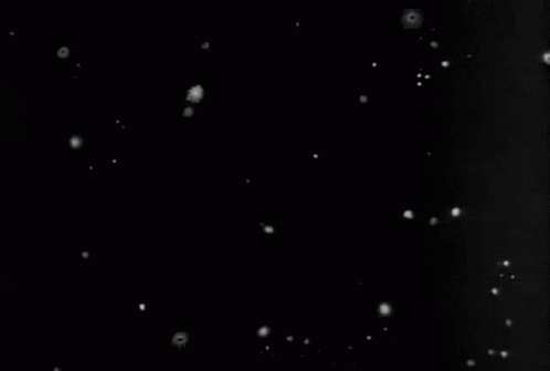 A Black Background With The Words The Twilight Zone In White Letters GIF