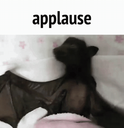 A Black Bat Is Laying On A Bed With The Word Applause Written Above It . GIF