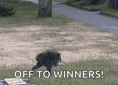 A Black Bear Is Running In The Grass With The Words Off To Winners Written On The Ground . GIF