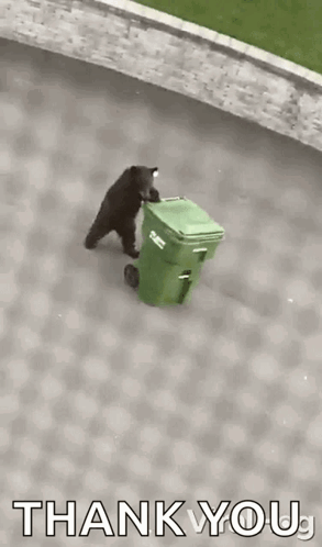 A Black Bear Is Standing Next To A Green Trash Can And Says `` Thank You '' . GIF