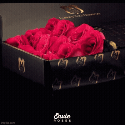 A Black Box Filled With Pink Roses Says Envie Roses On The Bottom GIF