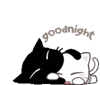 A Black Cat And A White Cat Are Laying Down With The Words Goodnight Written Above Them . Sticker
