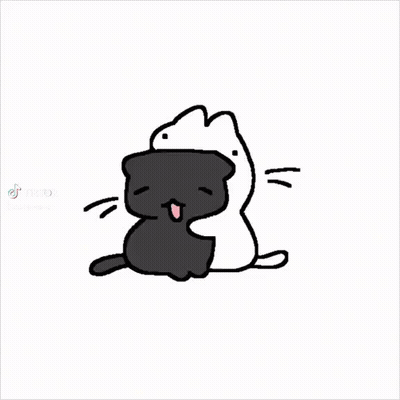 A Black Cat And A White Cat Are Sitting Next To Each Other On A White Background . GIF