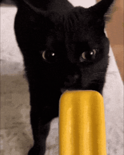 A Black Cat Eating A Yellow Popsicle On A Bed GIF