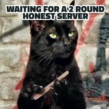 A Black Cat Holding A Knife With The Words Waiting For A 2 Round Honest Server GIF