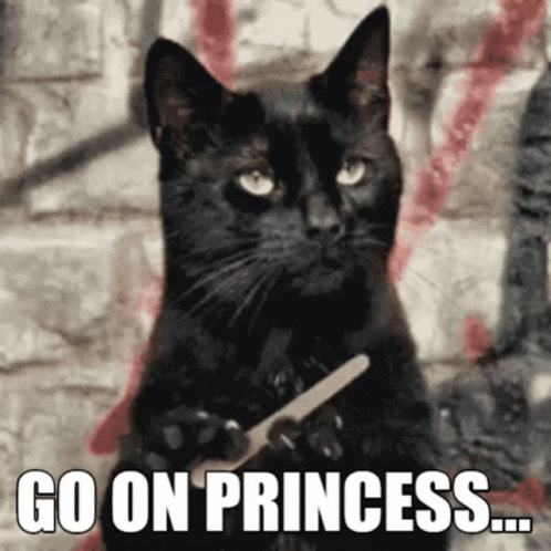 A Black Cat Holding A Nail File With The Words Go On Princess Written Below It GIF